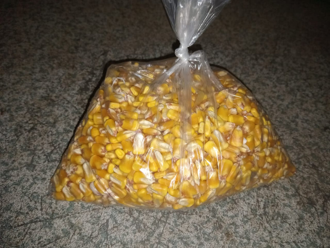 Gcwalisa whole yellow maize